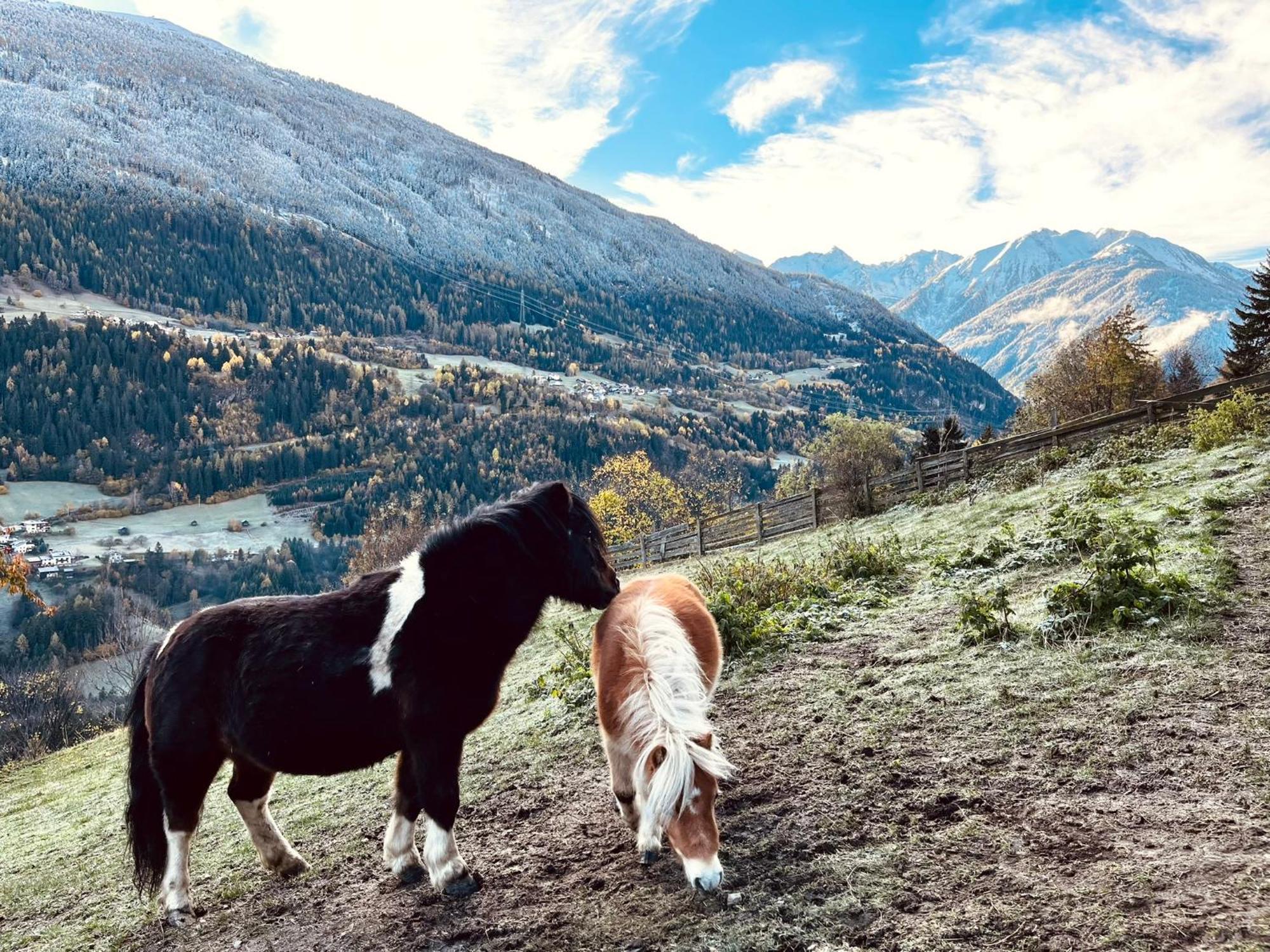 Apart Alpenzeit アルツル・イム・ピッツタール エクステリア 写真